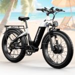 Dual Motor E-Bikes