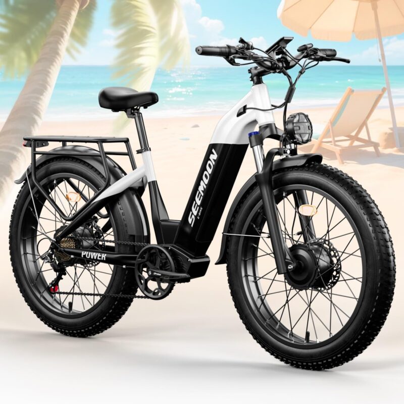 Dual Motor E-Bikes